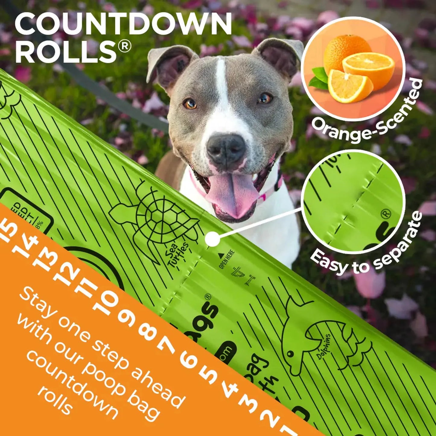 Orange-Scented Dog Poop Bags – Plant-Based Rolls