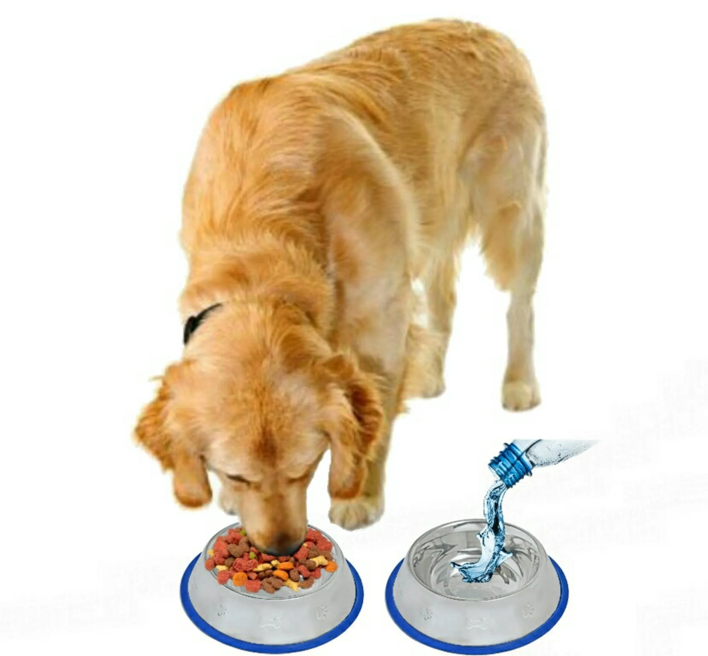 Etched Stainless Steel Dog Bowls – Non-Slip Base