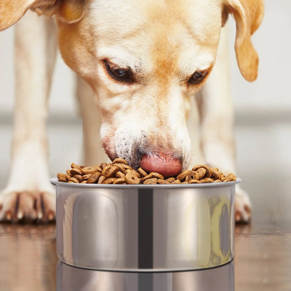 Stainless Steel Hanging Dog Bowl – Crate & Kennel