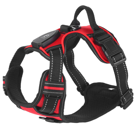 LED Light-Up Dog Harness
