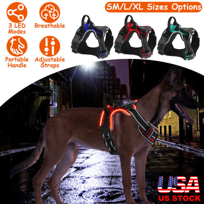 LED Light-Up Dog Harness