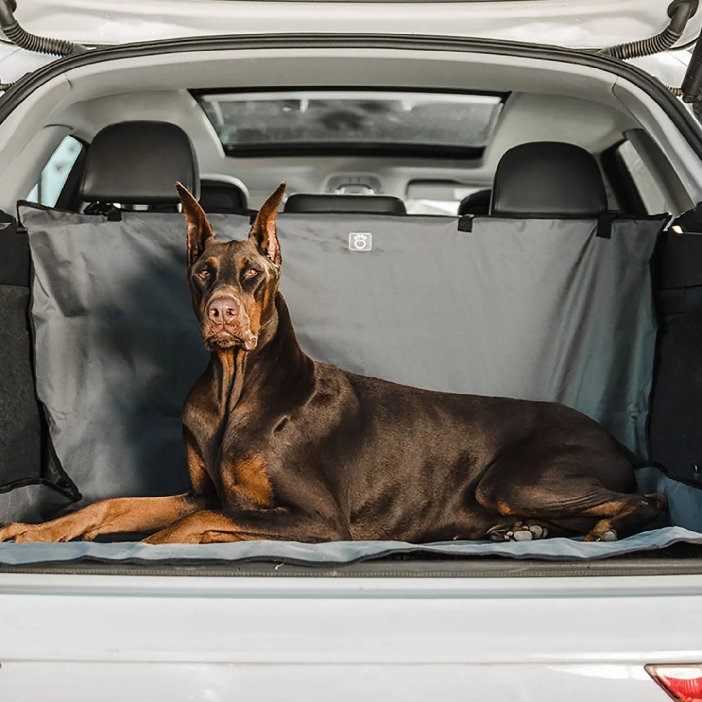 Cargo Dog Car Seat Cover – SUV & Trunk Liner