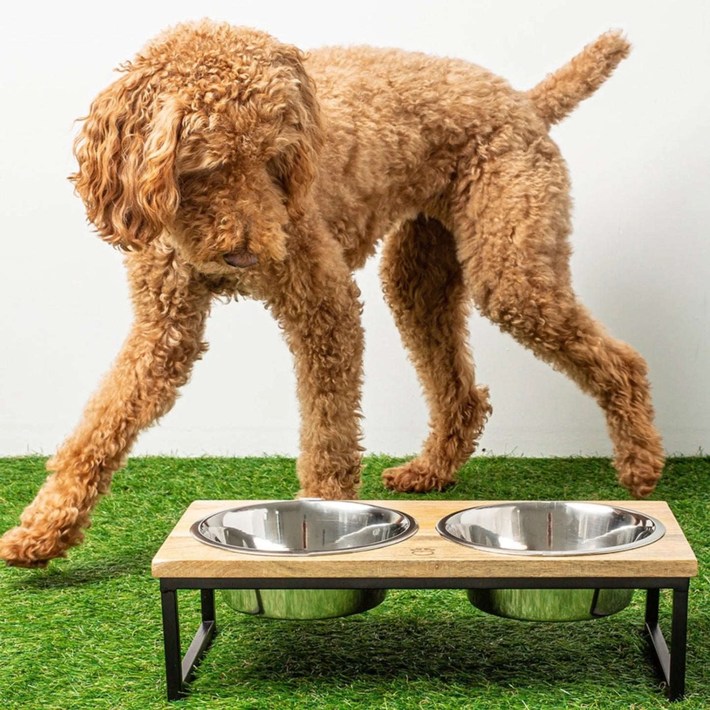 Wood & Metal Elevated Dog Feeder – Single Bowl