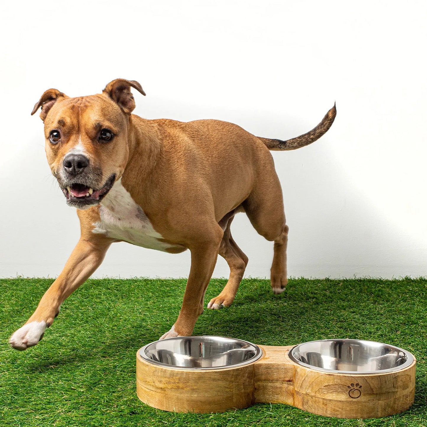 Wood & Metal Double Diner Dog Feeder – Raised