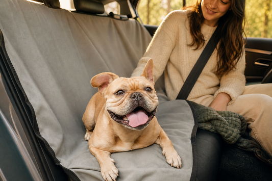 Bench Dog Car Seat Cover – Backseat Protection