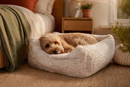 Whisper Calming Dog Bed – Ultra-Soft & Cozy