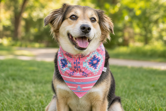Pink and Blue Tribal Dog Bandana & Matching Keychain