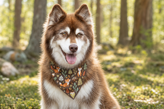 Woodland Tales Dog Bandana & Matching Keychain