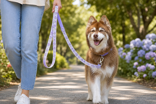 Lavender Garden Waterproof Dog Leash
