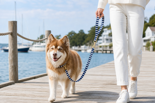 Dockside Adventures Waterproof Dog Leash