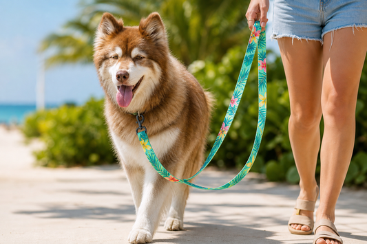 Island Vibes Waterproof Dog Leash