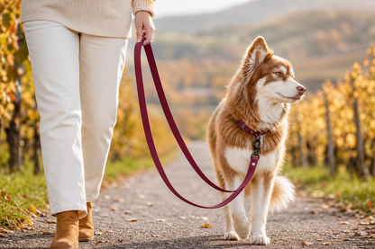 Red Mountain Syrah Waterproof Dog Leash
