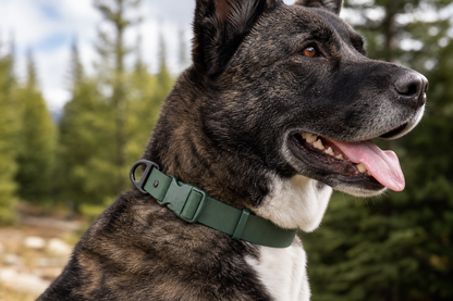 Mossy Pine Waterproof Dog Collar