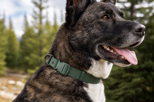 Mossy Pine Waterproof Dog Collar