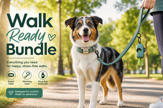 Walk Ready Bundle — Leash, Collar & Poop Bags