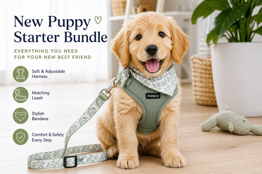 New Puppy Starter Bundle — Harness, Leash & Bandana