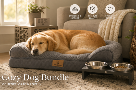 Cozy Dog Bundle — Orthopedic Bed & Stainless Steel Bowls