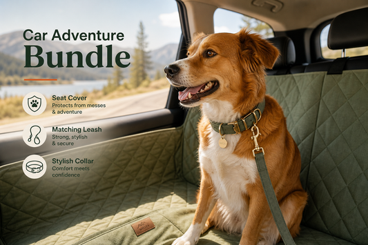 Car Adventure Bundle — Seat Cover, Leash & Collar